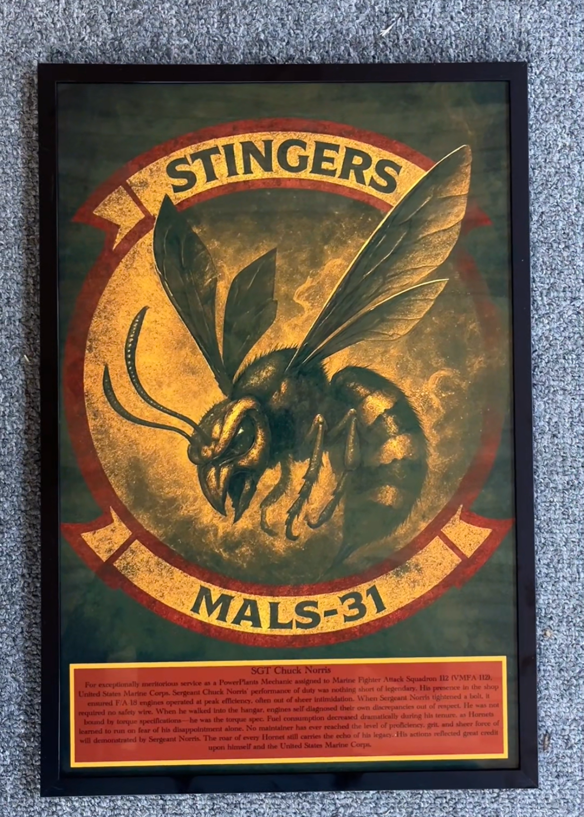 Standard Squadron Plaques